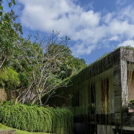 Chameleon Villa Bali Selemadeg Exterior foto